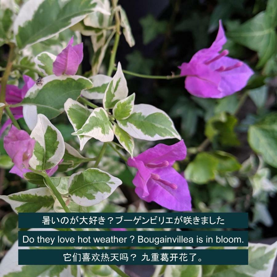 Kyoya Ryokan Нагоя Экстерьер фото